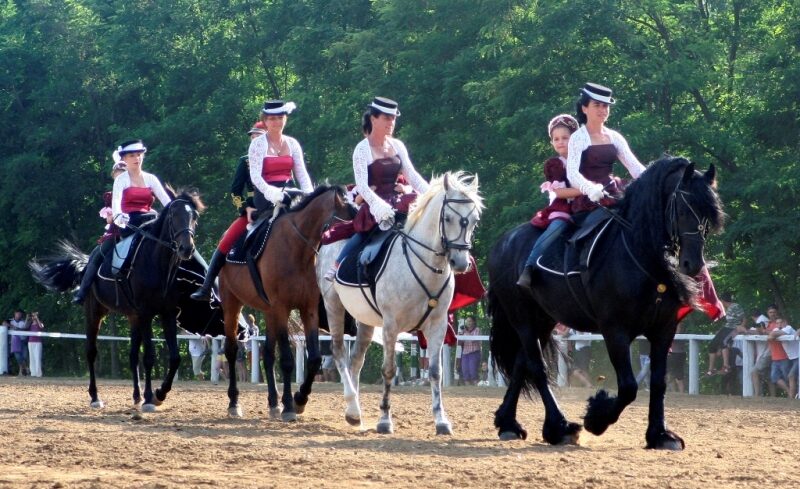 6__Sikvolgyi_Lovasnapok