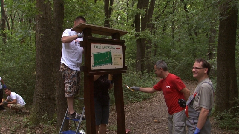 Freiwilligen_im_Bischofswald