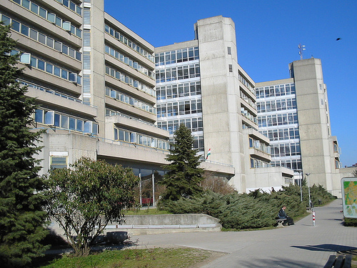 Rektorvalasztas_az_egyetemen