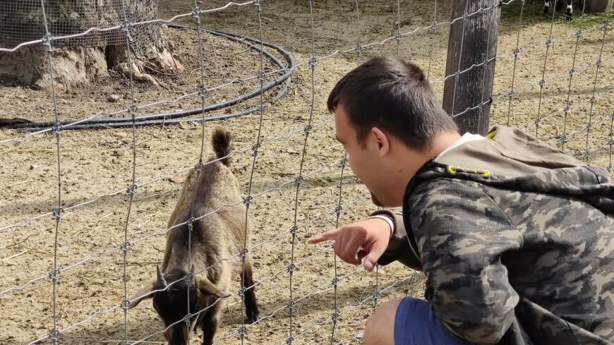 img_Kedden_lesz_a_Serult_Gyermekek_Napja_a_Fovarosi_allat-es_Novenykertben-2