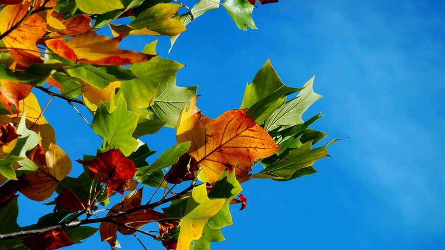 img_Halottak_napja__enyhe_ido_varhato_az_elso_novemberi_hetvegen-1