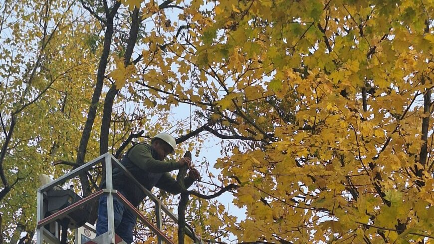 img_Helyreallitas_a_jatszoteren-1