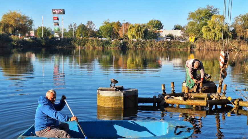 img_Kiemeltek_a_tobol_az_uszo_szokokutat__VIDEo_-1