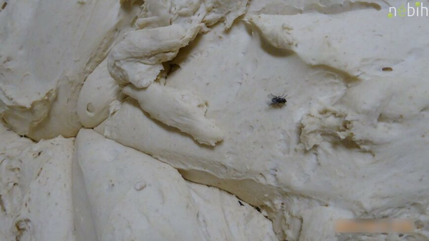 img_Rovarok_es_kosz_a_kelesztoben___azonnal_bezaratta_a_Nebih_a_baracskai_pekseget-2