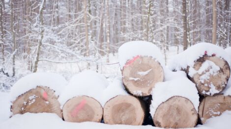Az ország nagy részén a tél első kemény jelei mutatkoznak