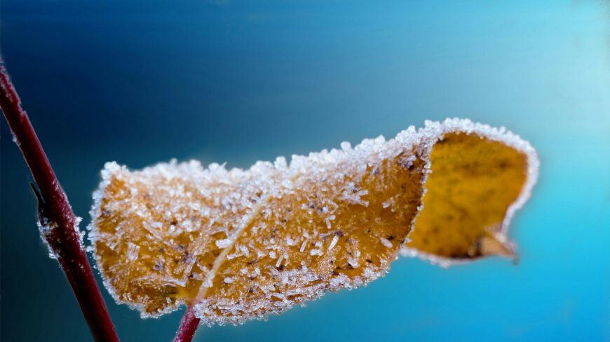 img_Borult__csapadekos_ido_varhato_a_hetvegen__tobbfele_havazhat_is-1