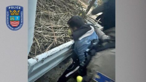 Egy éve bujkált, most elfogták