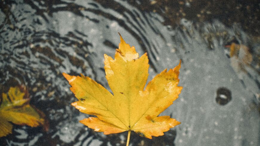 img_Esovel_es_lehulessel_kezdodik_november_elso_hete__majd_szaraz__nyugodt_ido_varhato