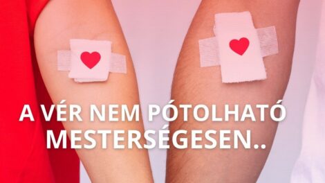 Hivatalos mobilalkalmazás és Véradó Portál indult a Magyar véradók napján
