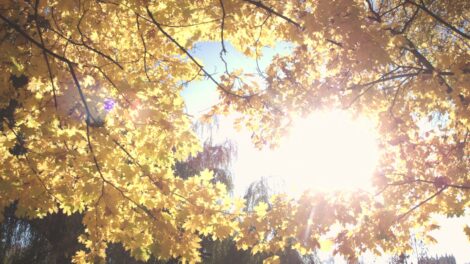 Kellemes őszi idővel indul a november