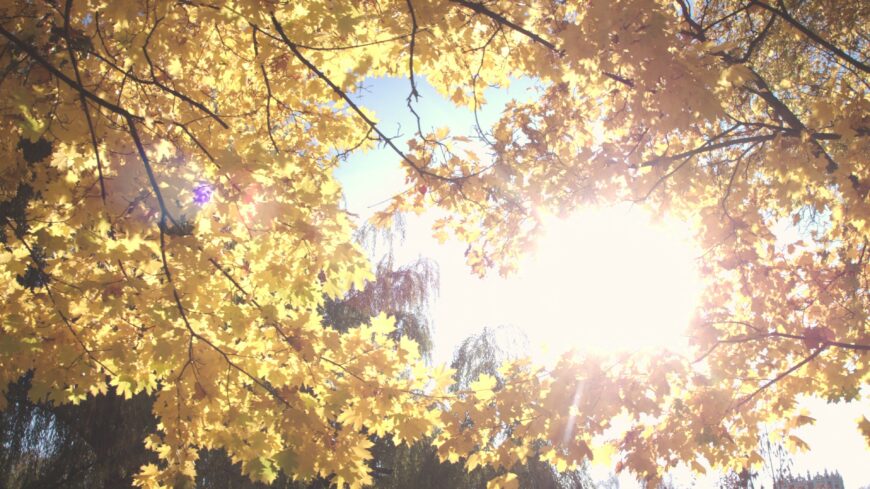 img_Kellemes_oszi_idovel_indul_a_november