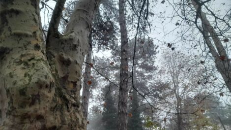 Ködös tájakkal köszönt ránk a szombat