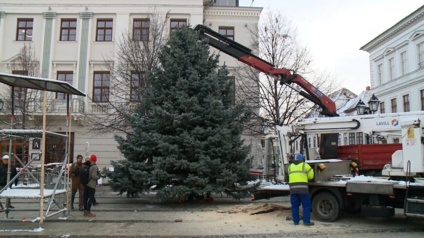 img_Megerkezett_a_Szechenyi_terre_a_mindenki_karacsonyfaja-1