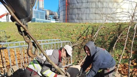 Megérkeztek az első facsemeték az őszi ültetéshez
