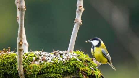 Napos-felhős idővel zárul a hét