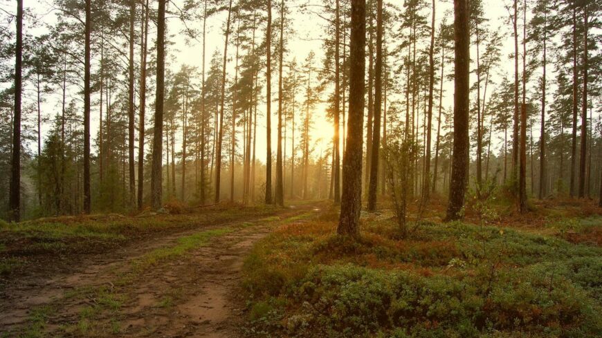 img_Tipikus_oszi_hetvegenk_lesz_keleten_tobb__nyugaton_kevesebb_csapadekkal-3