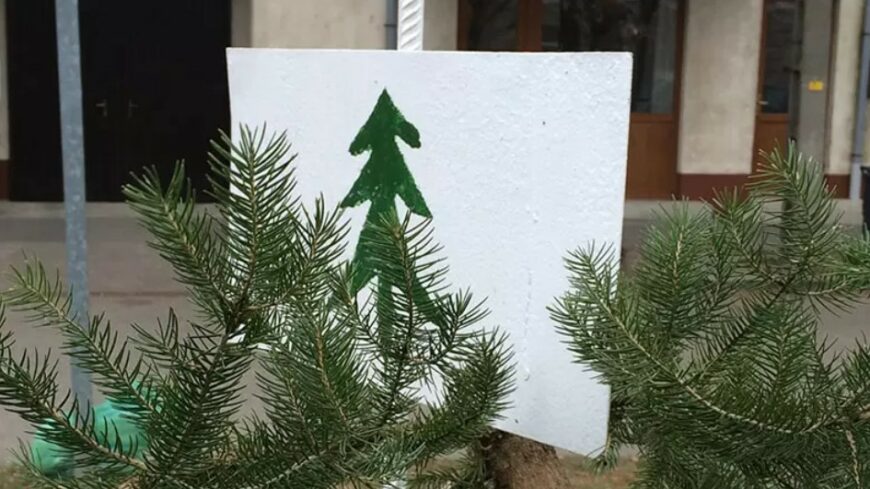 img_Fenyogyujtohelyek_Gyorben-1