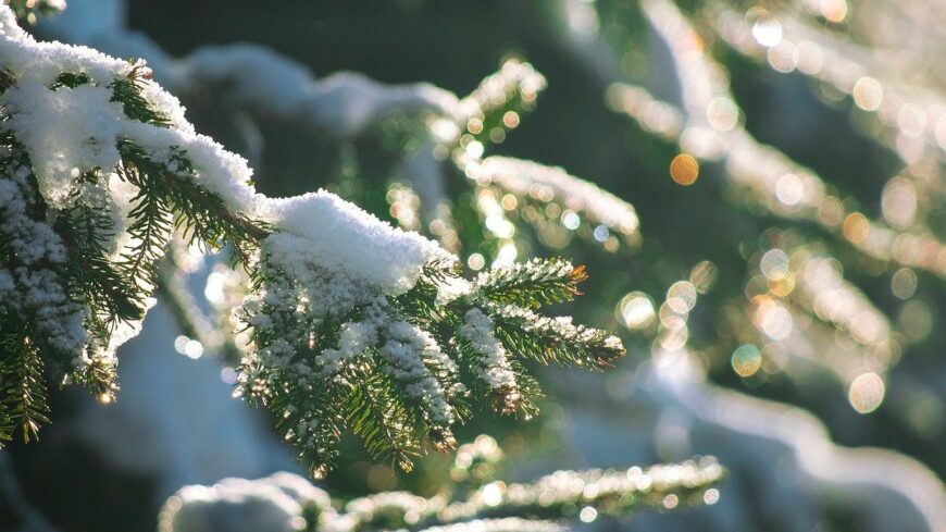 img_Hoszallingozas_es_fagy_kiseri_az_ev_elso_napjait