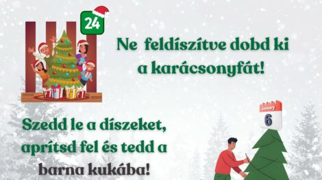 Hova teheti a karácsonyfát, ha már nincs szüksége rá?