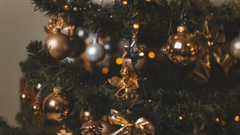 Indul a roham a fenyőkért, továbbra is a nordmann a legnépszerűbb