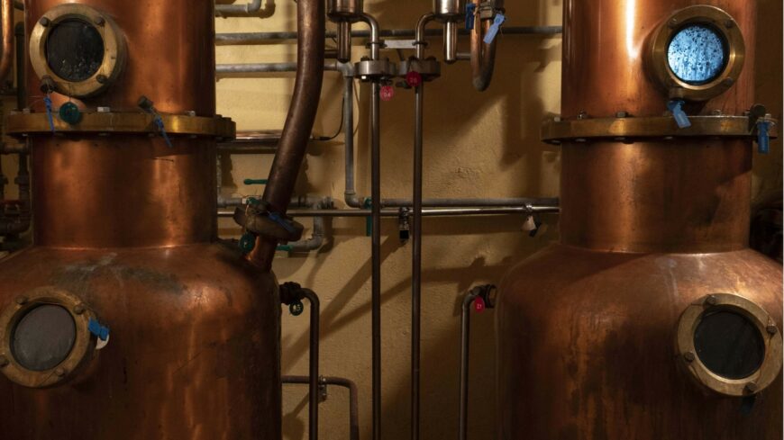 img_Egyetemi_kezben_a_jovo__uj_lenduletet_kap_az_agrarium_ujfeherton-3