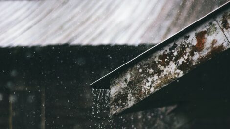 Enyhít szorításán a fagy és többfelé várható csapadék a hétvégén