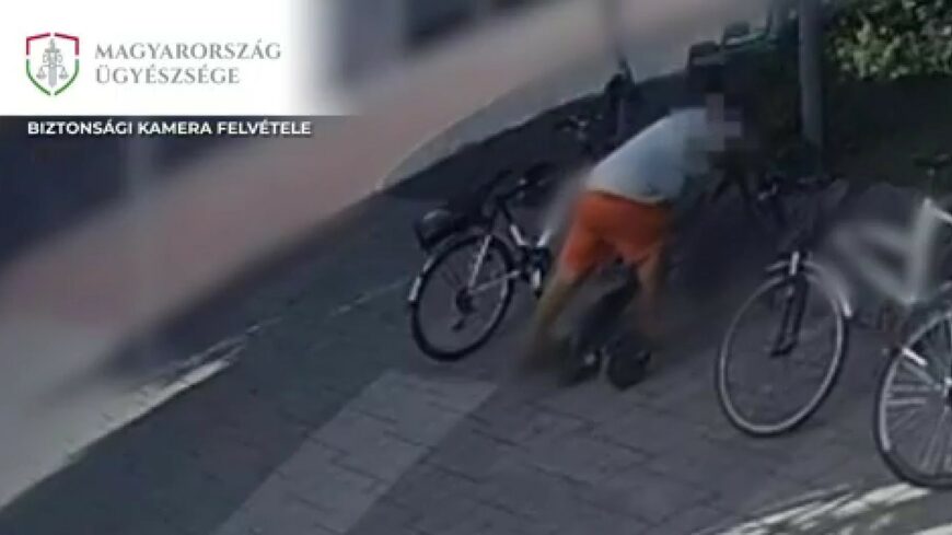 img_Semmi_nem_zavarta_a_vadlottat__fenyes_nappal_rollert_lopott-1