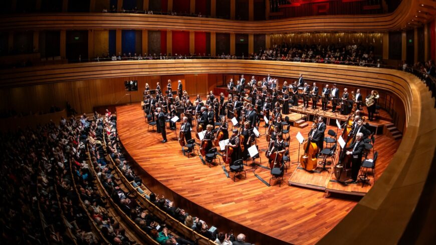 img_Szel__madarak__szimfoniak-3