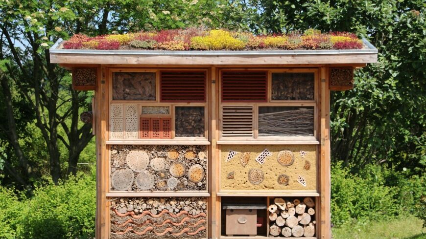 img_Februar_vegeig_erdemes_kihelyezni_a_mehecskehoteleket