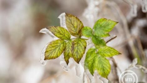 Folytatódik a csapadékos, de enyhe időjárás a héten is