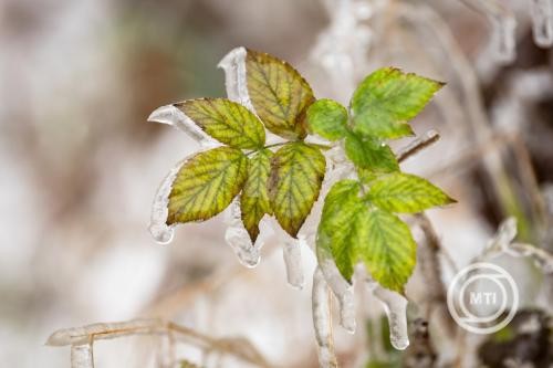 img_Folytatodik_a_csapadekos__de_enyhe_idojaras_a_heten_is