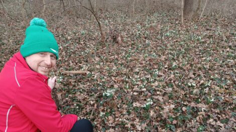 Gyönyörűen virágzik a hóvirág a Lébényben