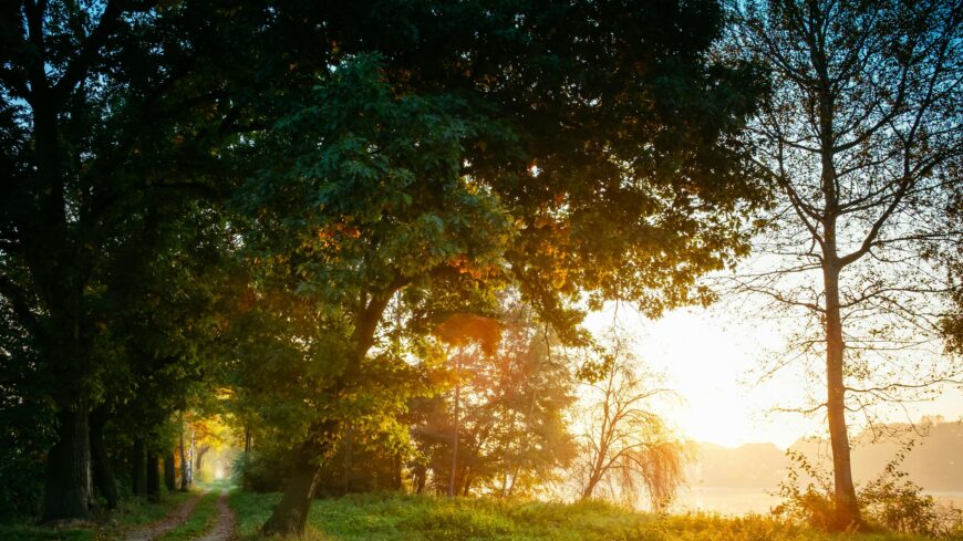 img_Szeles_lehet_a_szombat-3