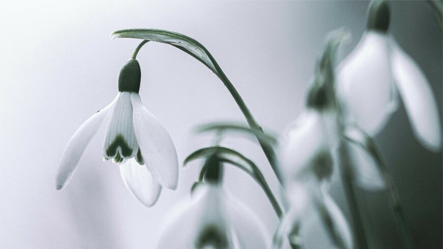 img_Vegre__Kora_tavaszias_ido_varhato_a_heten-3