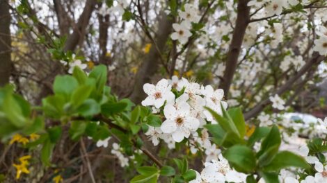 Az erős szél és eső a vasárnapi időjárás jellemzői