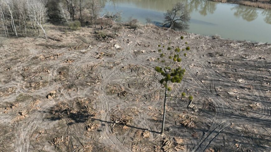 img_Csak_a_feszket_hagytak_meg_-2