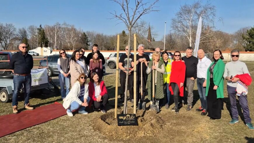 img_Elultettek_Gyor_szeretetfajat-1