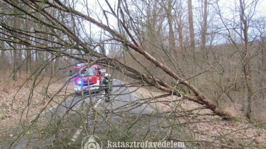 img_Sokat_vonultak_a_tuzoltok_a_hetvegen