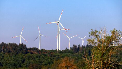 A hulladék is segíthet a klímavédelemben – egyre fontosabb az újrahasznosítás szerepe