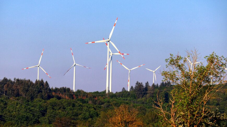 img_A_hulladek_is_segithet_a_klimavedelemben___egyre_fontosabb_az_ujrahasznositas_szerepe