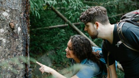 Kiránduljatok egyet az ünnepekben!