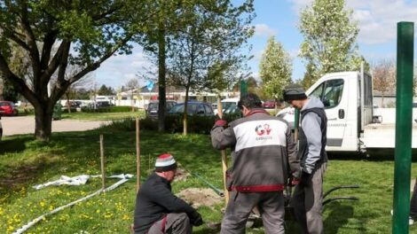 Kutyafuttató épül