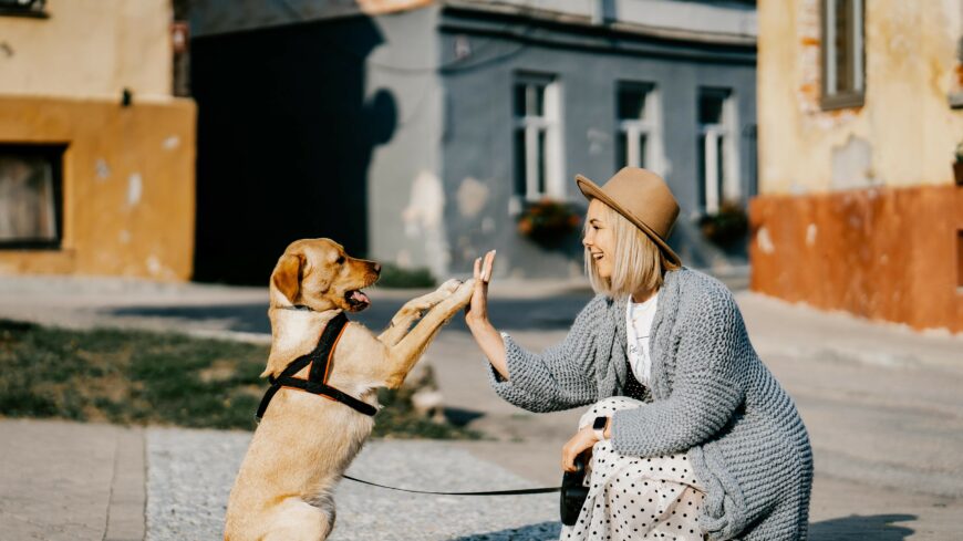 img_uj_kiadvany_mutatja_be_az_allatvedelem_eredmenyeit