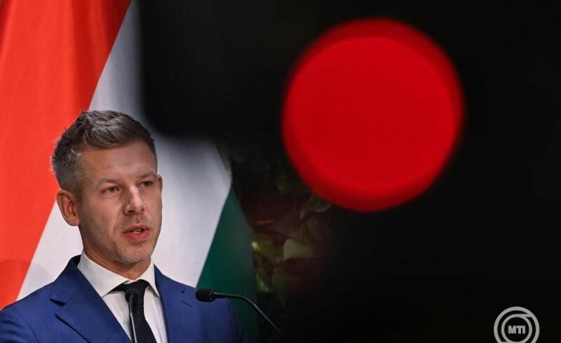 img_Magyar_Peter_szerint_eros_politikai_nyomas_allhatott_K__Endre_kegyelme_mogott-3