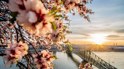 Tavasszal Budapest, nyáron még mindig Siófok a legnépszerűbb úti cél