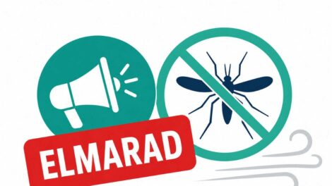 Kaptak egy nap haladékot a szúnyogok