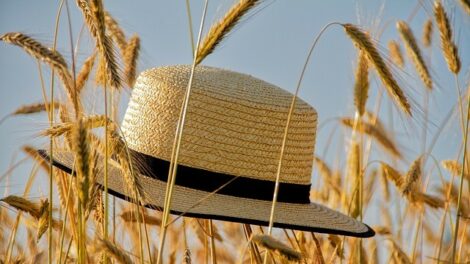Szombattól harmadfokú hőségriasztás lép életbe