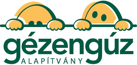 img_Ingyenes_szuroprogrammal_segit_a_Gezenguz_Alapitvany_Gyori_Intezeteben_augusztusban