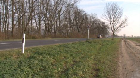 Fokozott óvatosságra int a rendőrség a vadveszély miatt