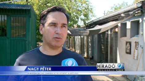 Megújul a Győri Állatmenhely